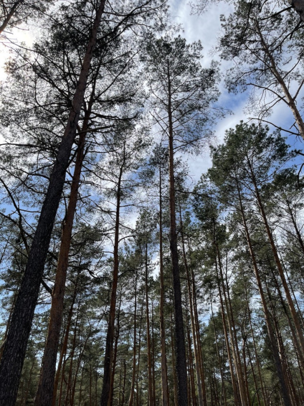 plush74 gravel pit berlin 26