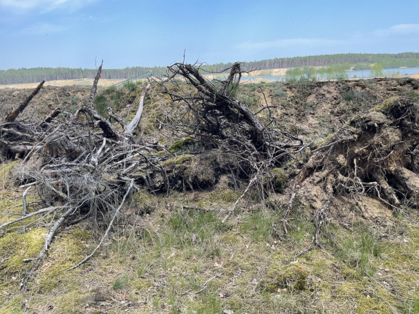 plush74 gravel pit berlin 29