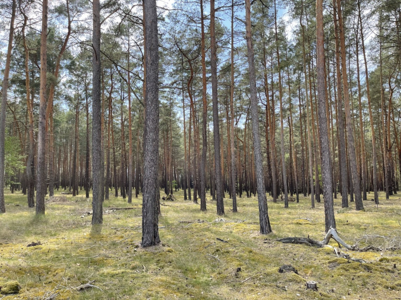 plush74 gravel pit berlin 30 (1)