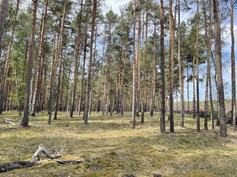 plush74 gravel pit berlin 32 (2)