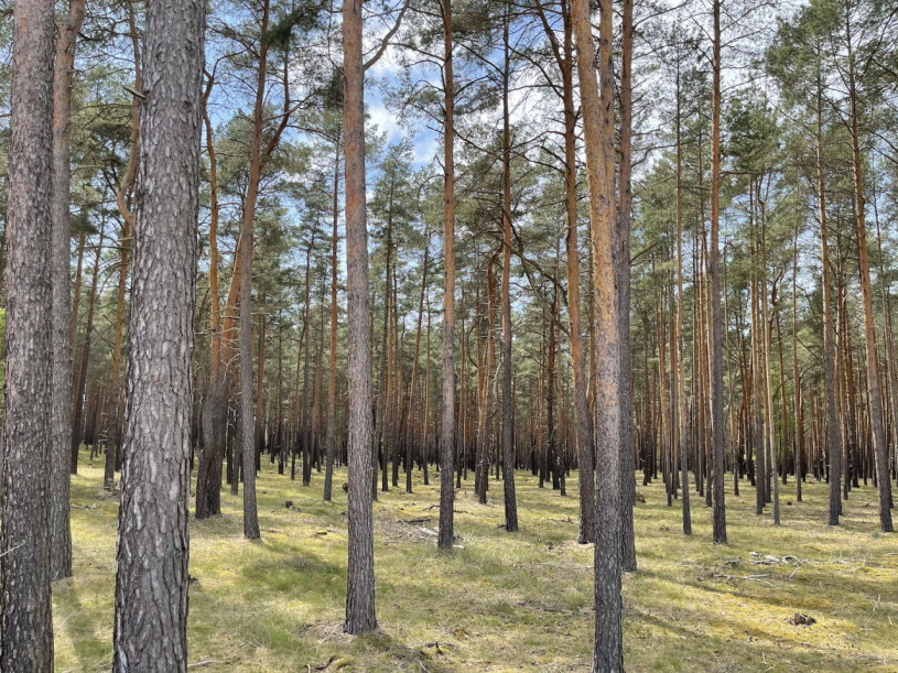 plush74 gravel pit berlin 32