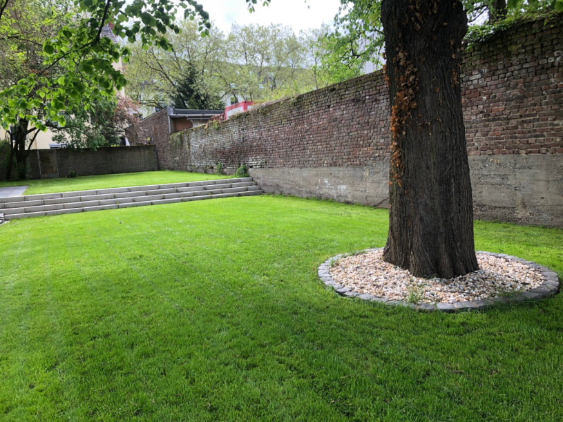 felpa74 colonia del puerto 19(1)