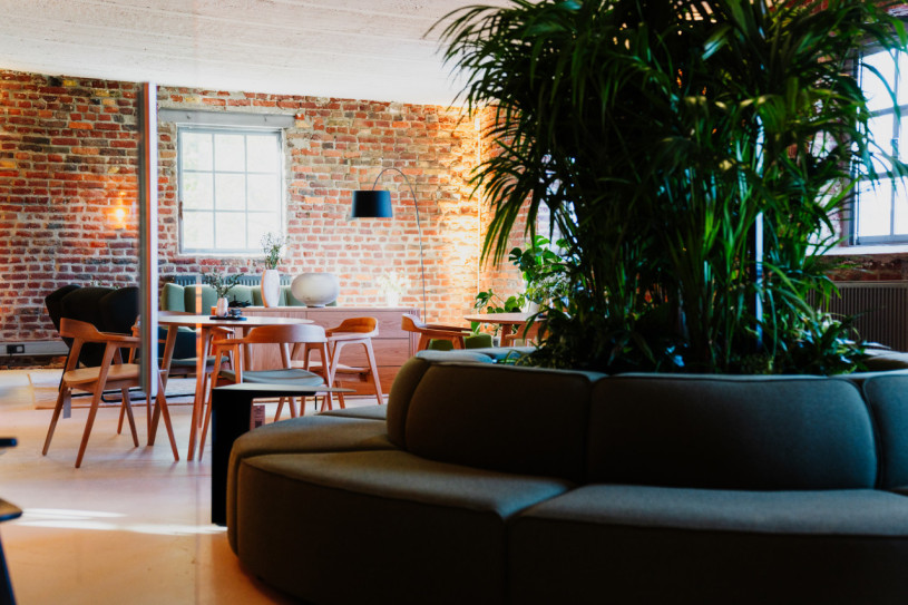 felpa74 colonia del puerto 24(1)