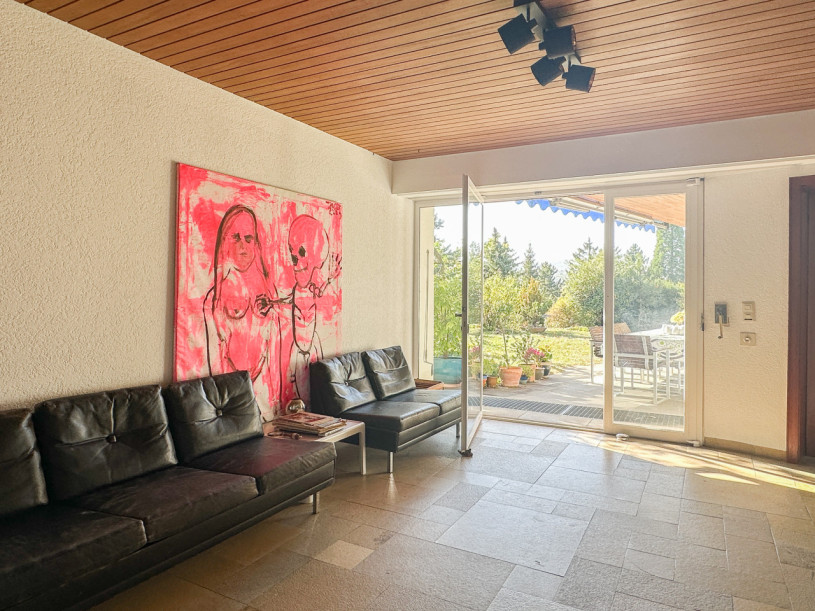 felpa74 haus sólo 5