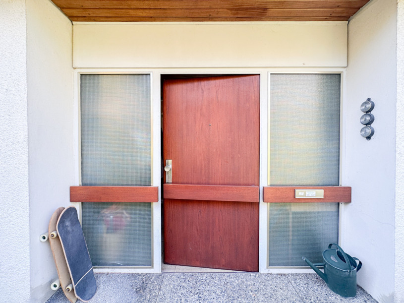 felpa74 haus sólo 8