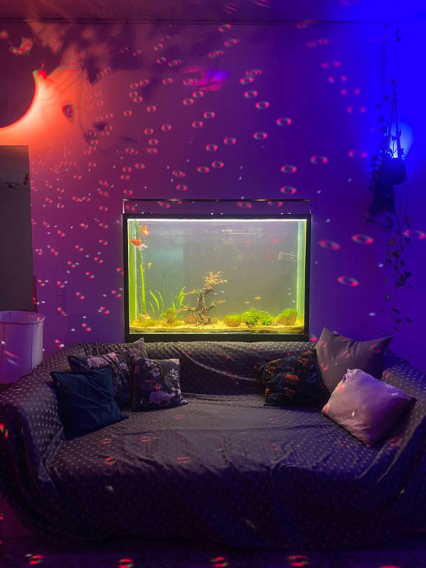 plush74 healing event space 30 (1)