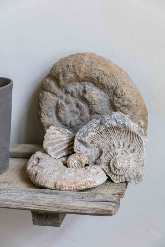 plush74 historic french chcteau in auge 41