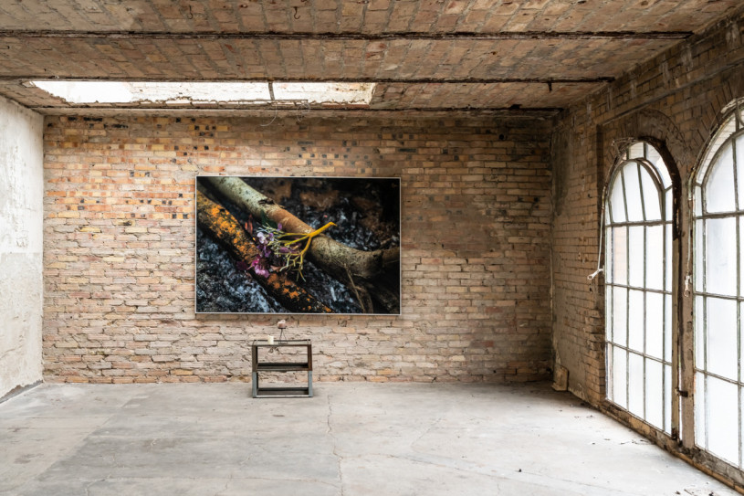 plush74 history hall berlin 60 (1)