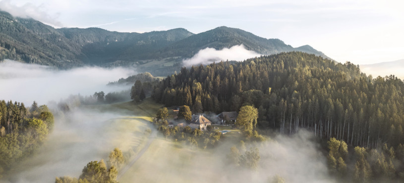 plush74 i am escape 14