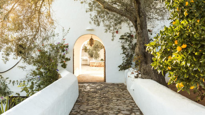 plush74 ibiza villa rustic location photo film00019