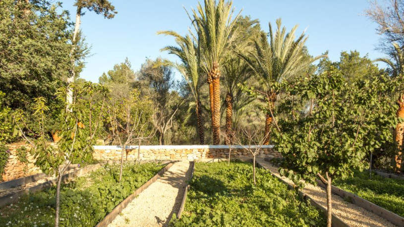 plush74 ibiza villa rustic location photo film00020