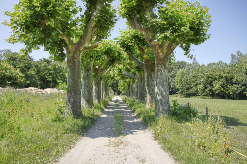 plush74 industrial counter shelter 63 (1)