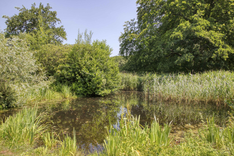 plush74 industrial counter shelter 76 (2)
