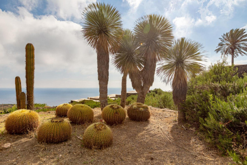 plush74 island villa dream 6(1)