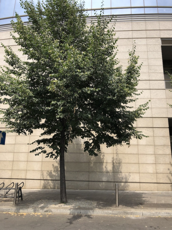 plush74 italy milano location rent shoot film photo streets housing modern architecture concrete 24