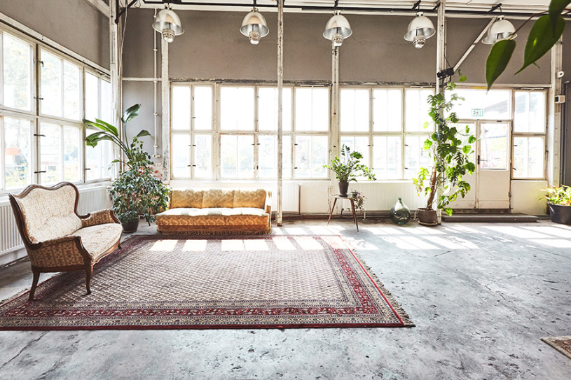 plush74 kaos berlin 3