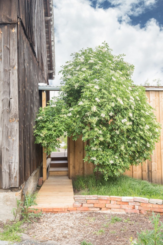 plush74 location film photo cottbus germany farm33