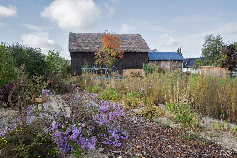 plush74 location film photo cottbus germany farm9