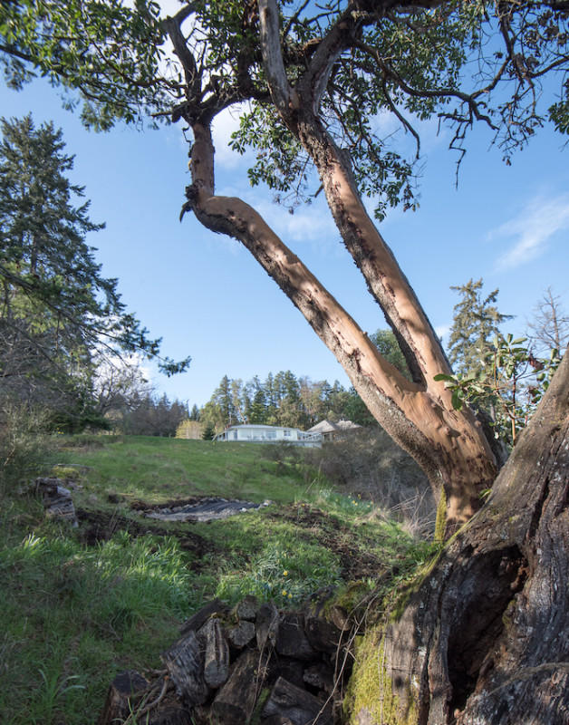 felpa74 localización película foto evento isla de vancouver canadá océano cabaña 21