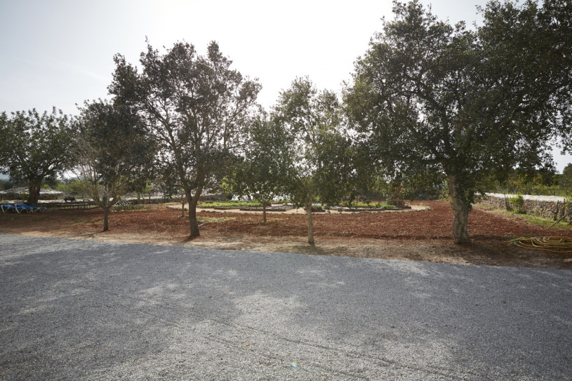 plush74 location ibiza house garden campo108