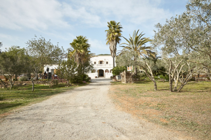 plush74 location ibiza house garden campo122