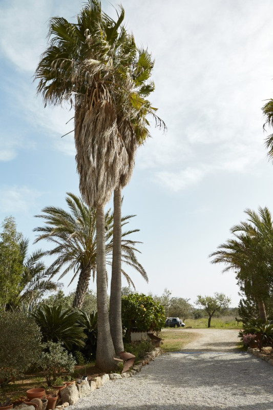 plush74 location ibiza house garden campo87
