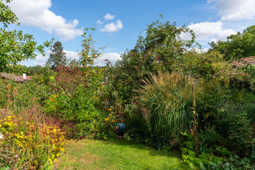 plush74 location photo film berlin event location berlin garden outdoor area12