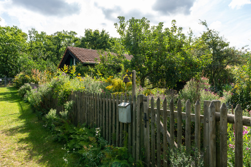 plush74 location photo film berlin event location berlin garden outdoor area24