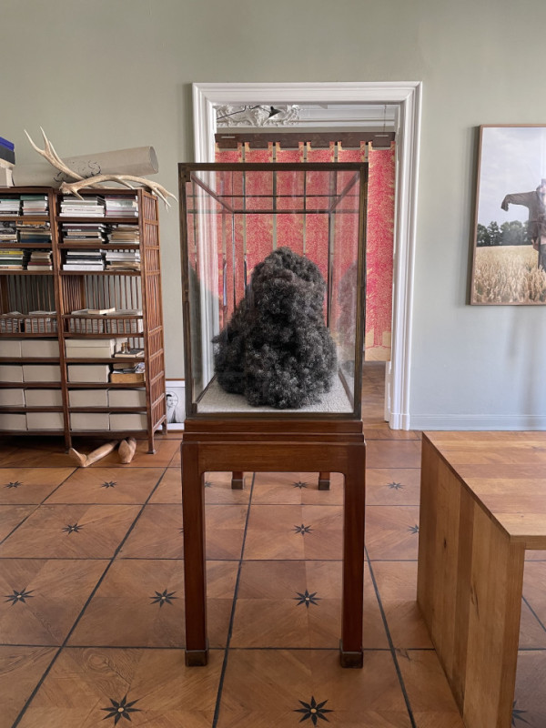 plush74 location photo film event house apartment germany berlin17