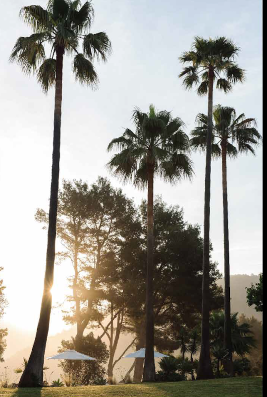 plush74 location photo film event house villa garden ibiza balearic island spain37