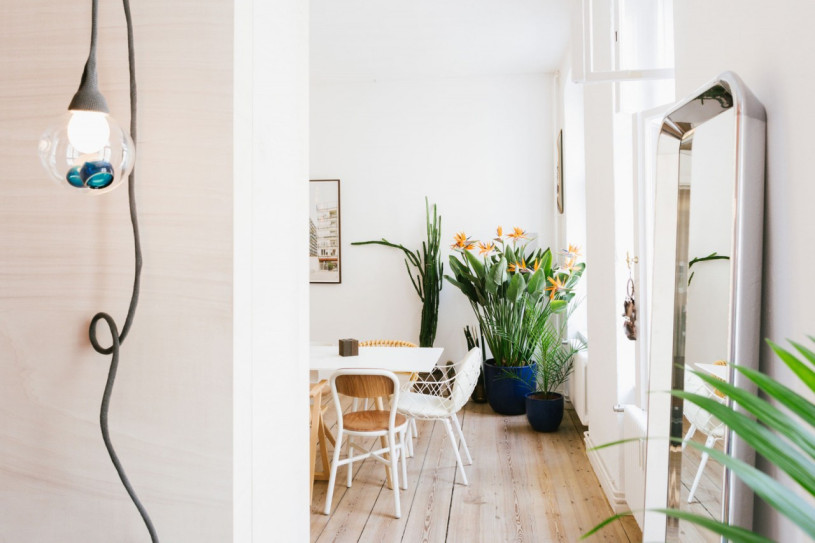 plush74 location photo film events berlin germany apartment 3