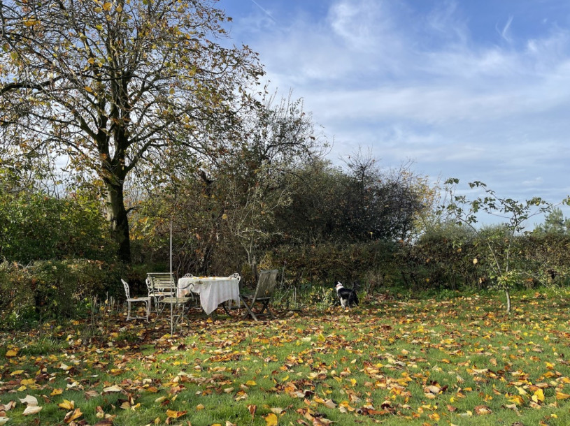 plush74 location photo film nature lake house gorsell netherlands holland1