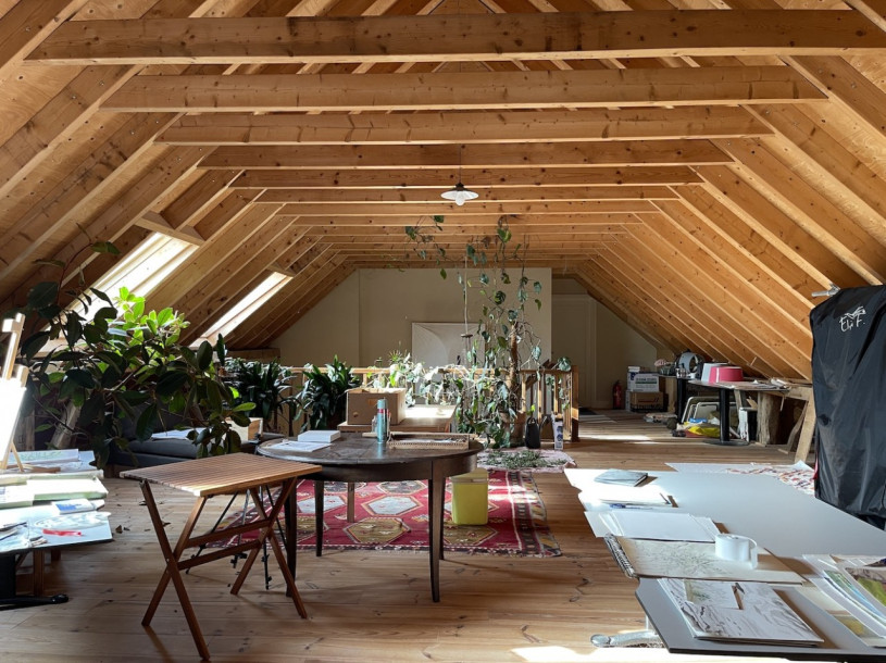 plush74 location photo film nature lake house gorsell netherlands holland107