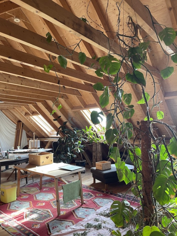 plush74 location photo film nature lake house gorsell netherlands holland114