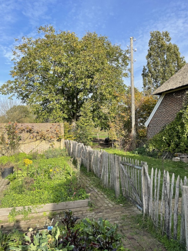 plush74 location photo film nature lake house gorsell netherlands holland128