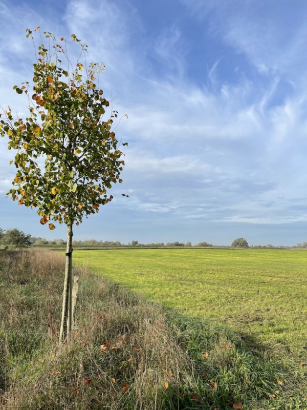 plush74 location photo film nature lake house gorsell netherlands holland4