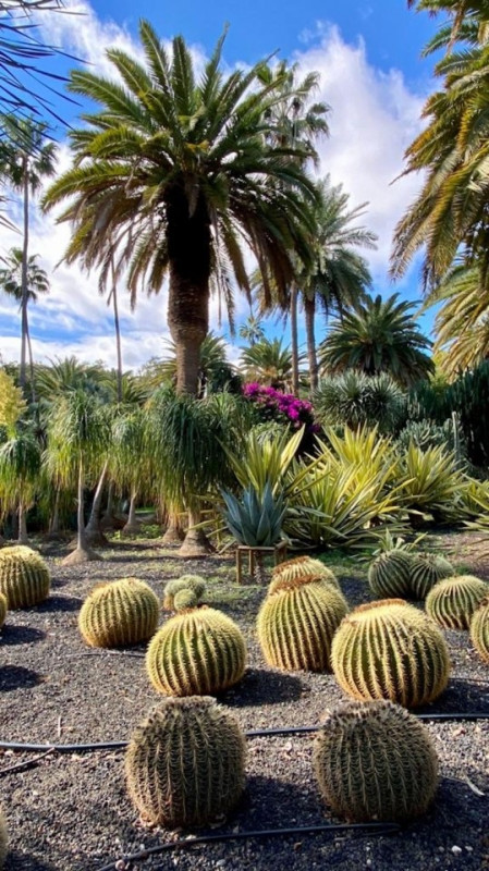 plush74 location photo film spain tenerife00000