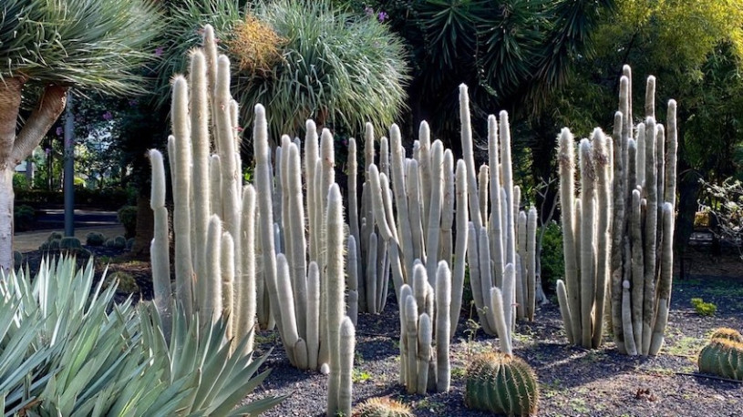 plush74 location photo film spain tenerife00002