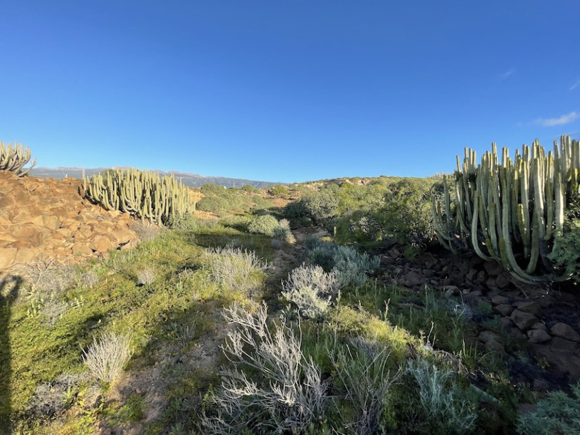 plush74 location photo film spain tenerife00018