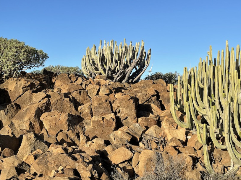plush74 location photo film spain tenerife00020