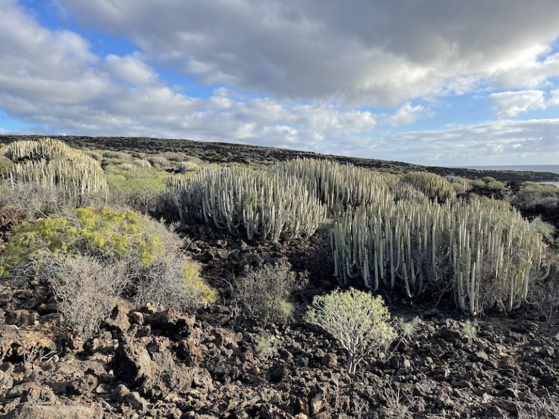 plush74 location photo film spain tenerife00023
