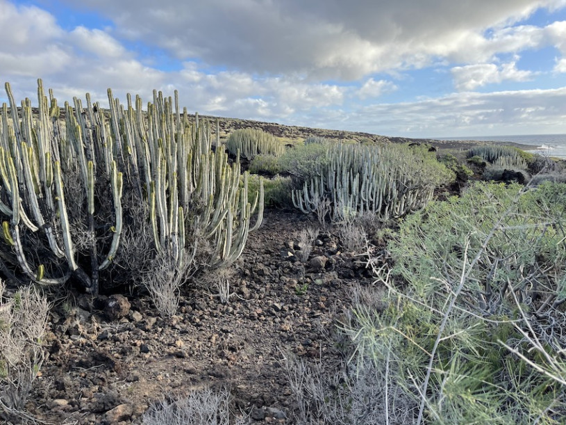 plush74 location photo film spain tenerife00028