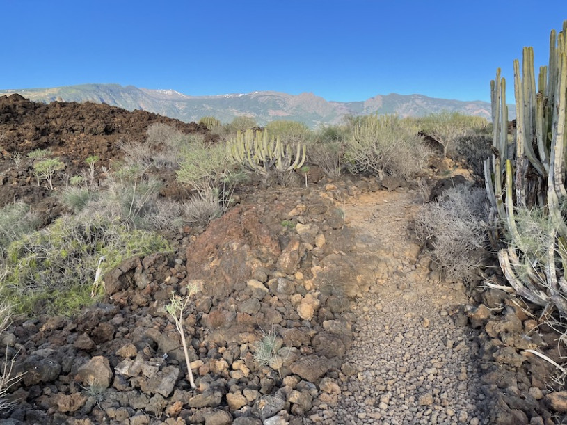 plush74 location photo film spain tenerife00029