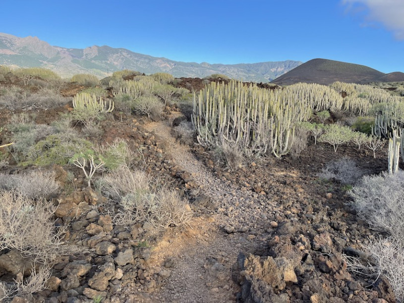 plush74 location photo film spain tenerife00030