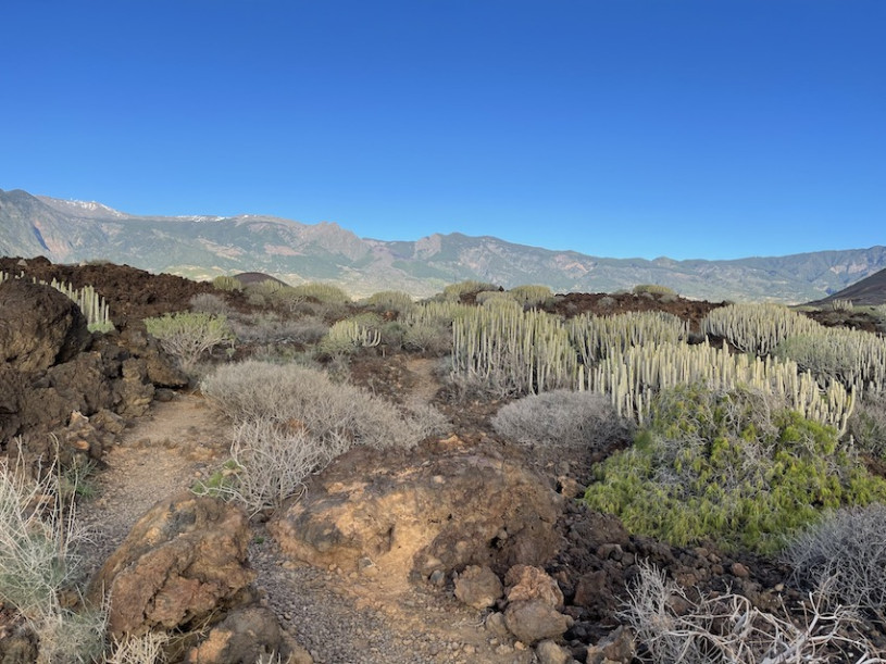 plush74 location photo film spain tenerife00031