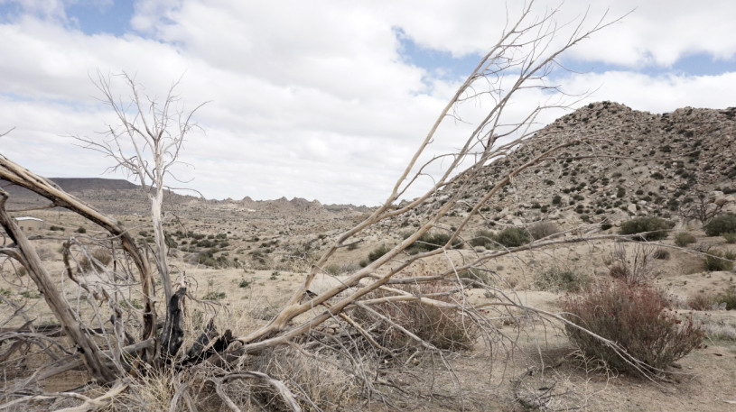 plush74 location scout rental photo film production las vegas usa6 (1)