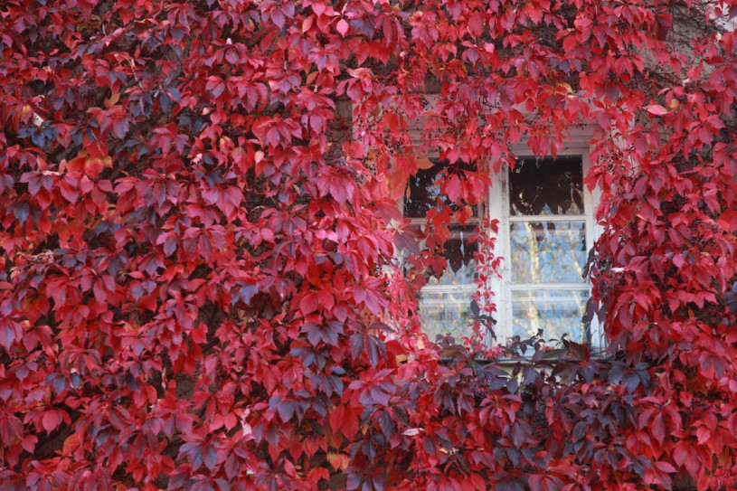 plush74 location scouting film foto location haus moorenweis yoga scandinavian wood119