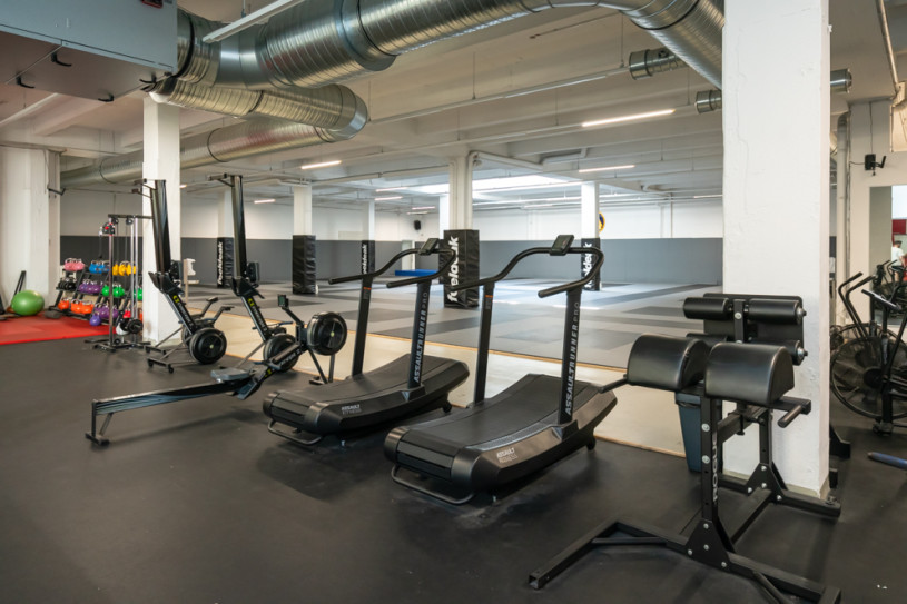 plush74 località germania berlino sport urbano foto film fenriz palestrajpg1