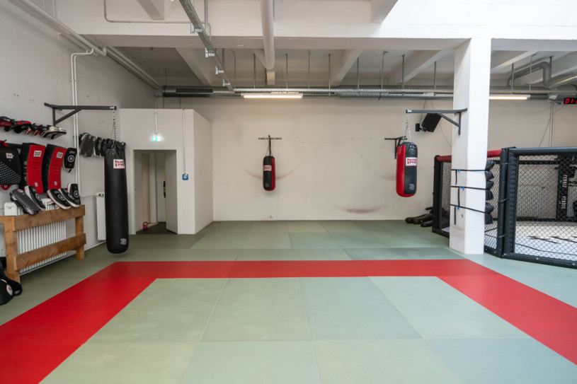 plush74 località germania berlino sport urbano foto film fenriz palestrajpg3