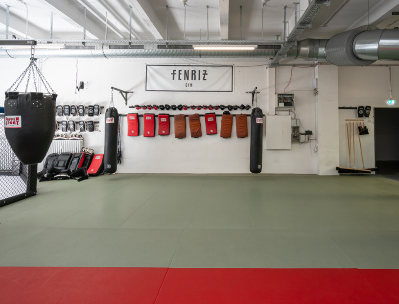 plush74 località germania berlino sport urbano foto film fenriz palestrajpg9